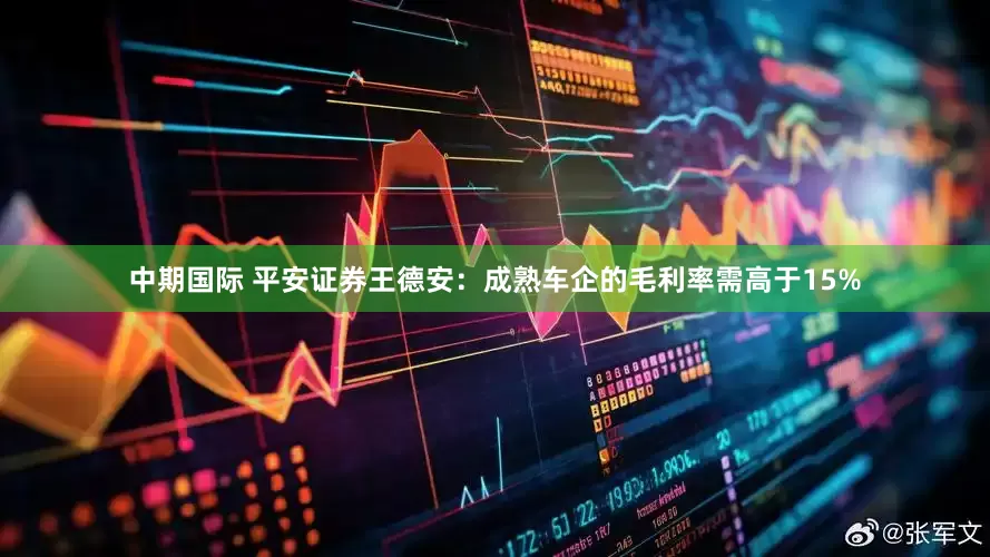 中期国际 平安证券王德安：成熟车企的毛利率需高于15%